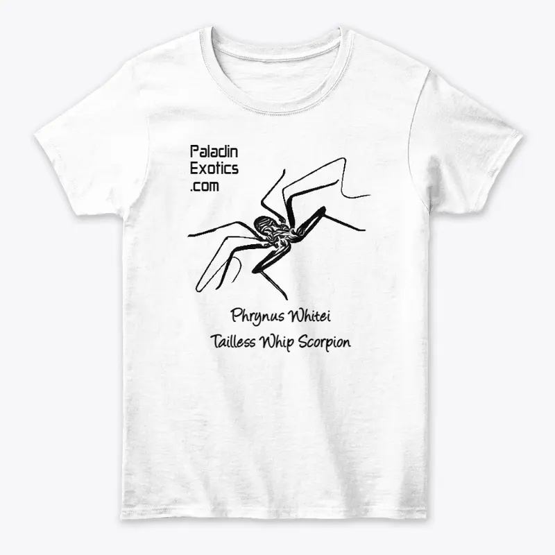 Tailless Whip Scorpion (Black)