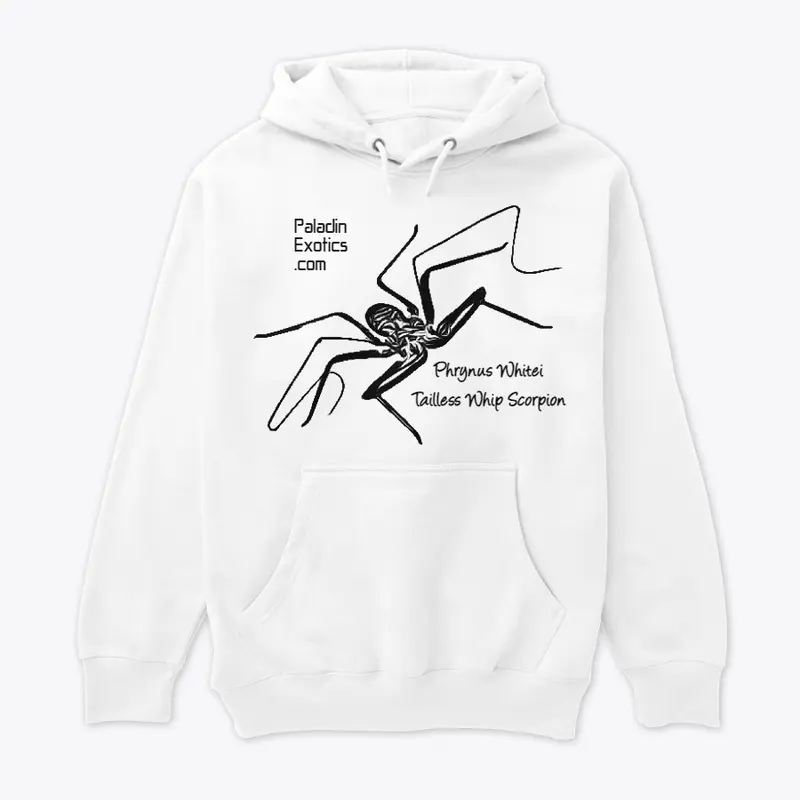 Tailless Whip Scorpion (Black)