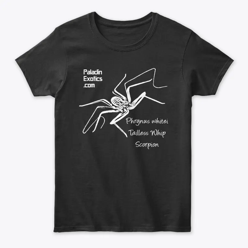 Tailless Whip Scorpion (White)