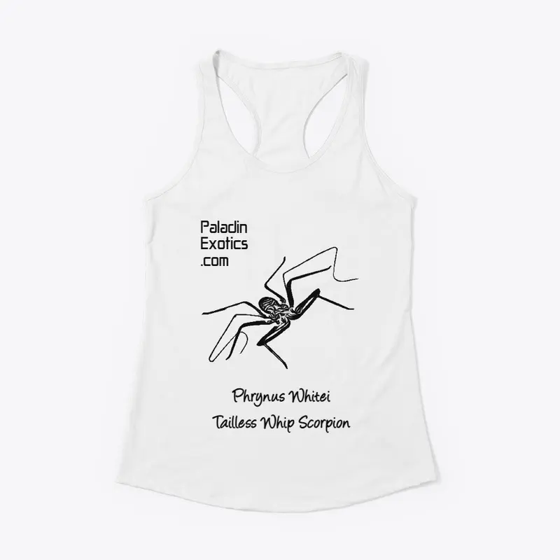 Tailless Whip Scorpion (Black)