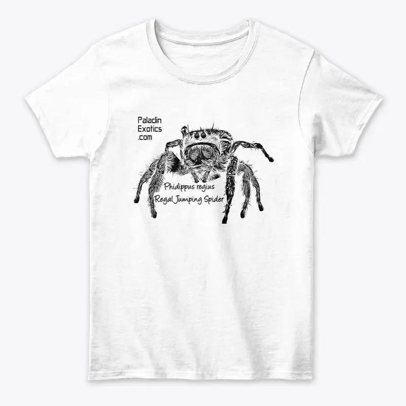 Regal Jumping Spider (Black)