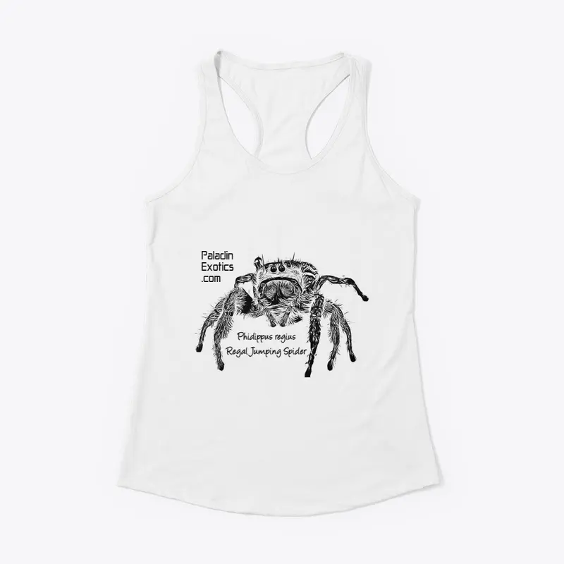 Regal Jumping Spider (Black)