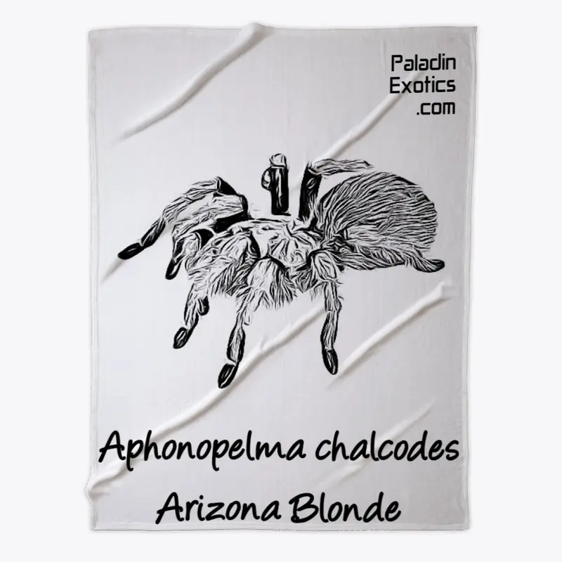 Arizona Blonde Tarantula