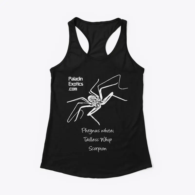 Tailless Whip Scorpion (White)