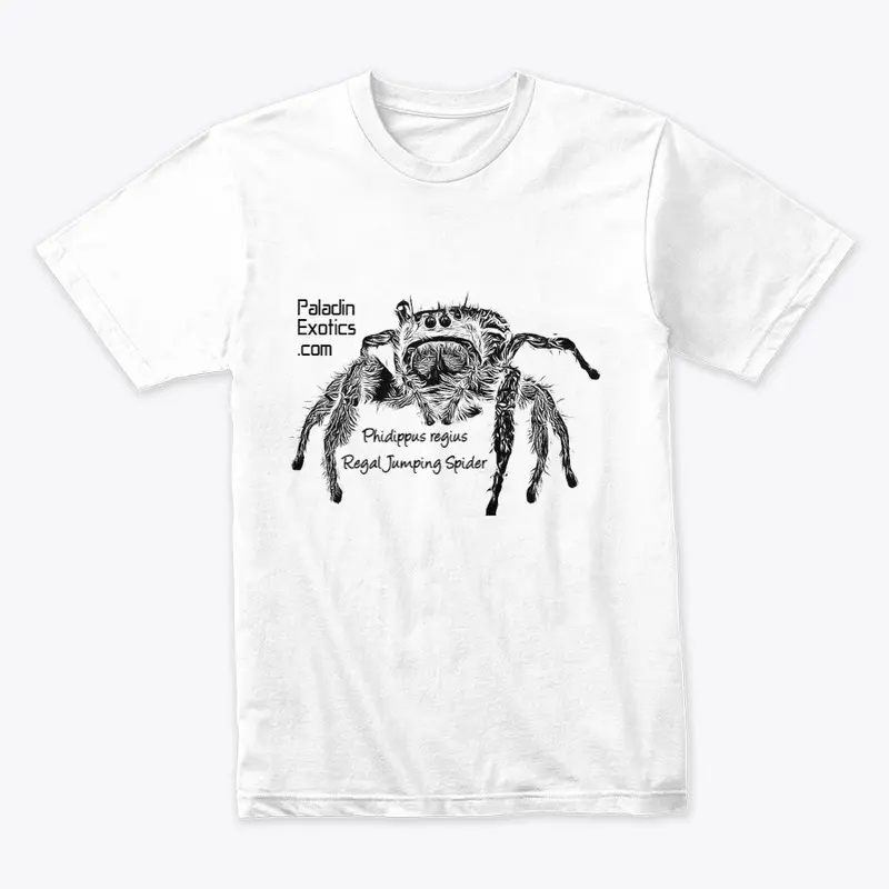 Regal Jumping Spider (Black)