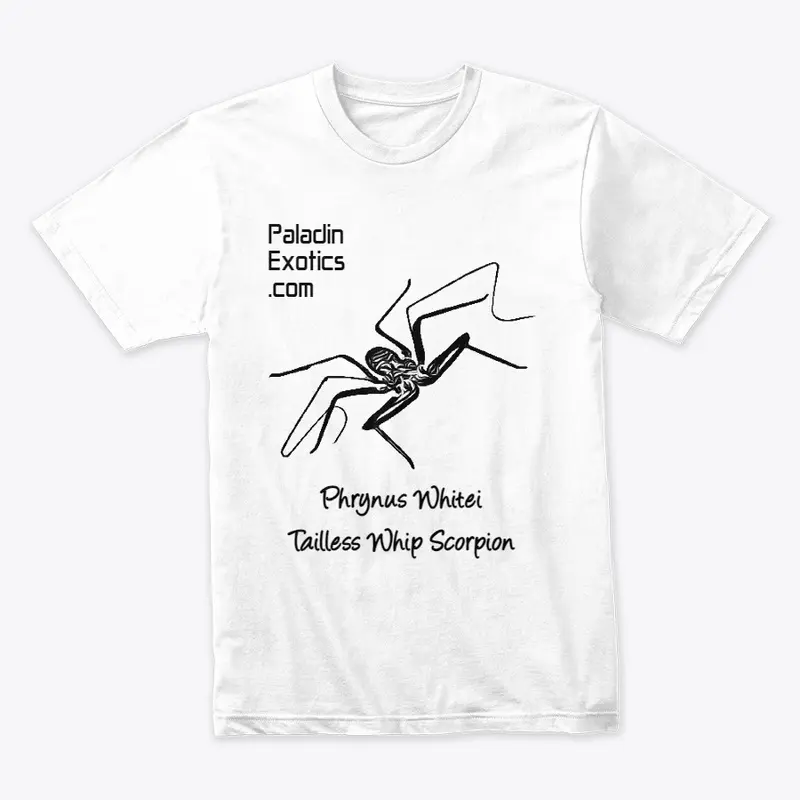 Tailless Whip Scorpion (Black)